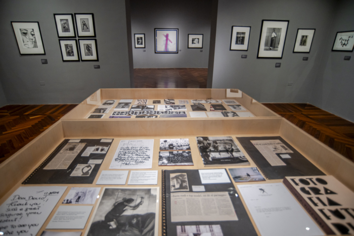 Mostra Fotosintesi. Al CAMeC fino al 22 marzo 2026